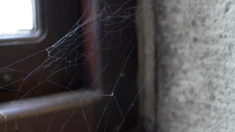 LOCKED-OFF-view-of-cobweb-gently-billowing-indoors