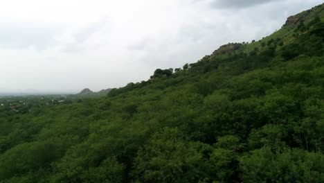 Vellore-mountains-are-unique-with-Rocky-tops-with-Greenery-all-around