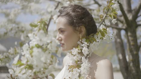 woman in cherry blossom trees