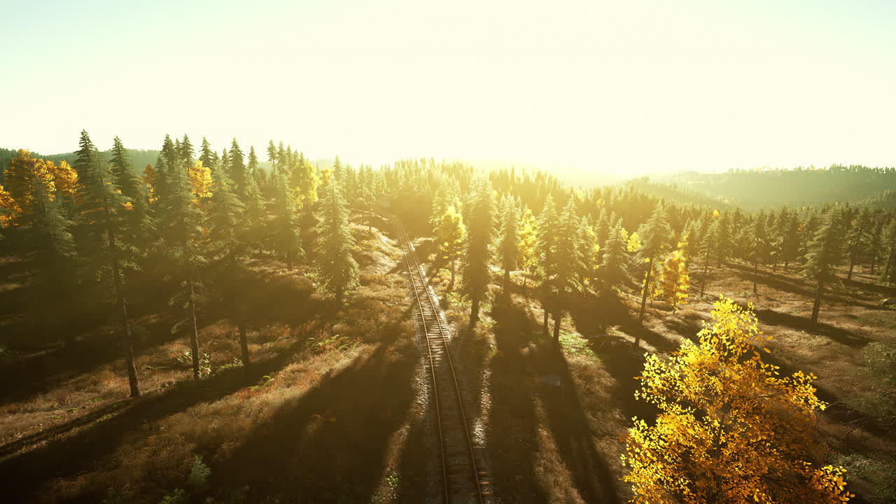 солнечные железнодорожные пути, извилистые через лес