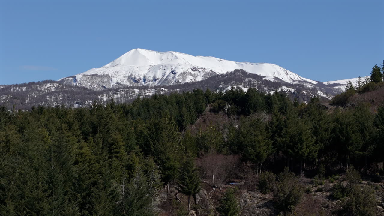 Aerial view of pine forest and snow-covered Chapelco Hill in Patagonia, Neuquén, Argentina