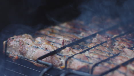 asar carne de pollo al aire libre. primer plano de cámara lenta estática