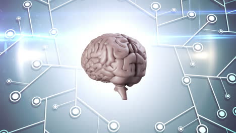 animation of human brain spinning with microprocessor connections