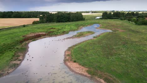 Luftvideoaufnahmen-Zeigen-Die-Salzwassersumpfgebiete-Entlang-Der-Küste-Von-Lincolnshire-Und-Zeigen-Seevögel-Im-Flug-Sowie-In-Den-Lagunen-Und-Binnenseen