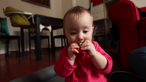 cute little baby eats a wood toy in front of the camera, shot in slow motion