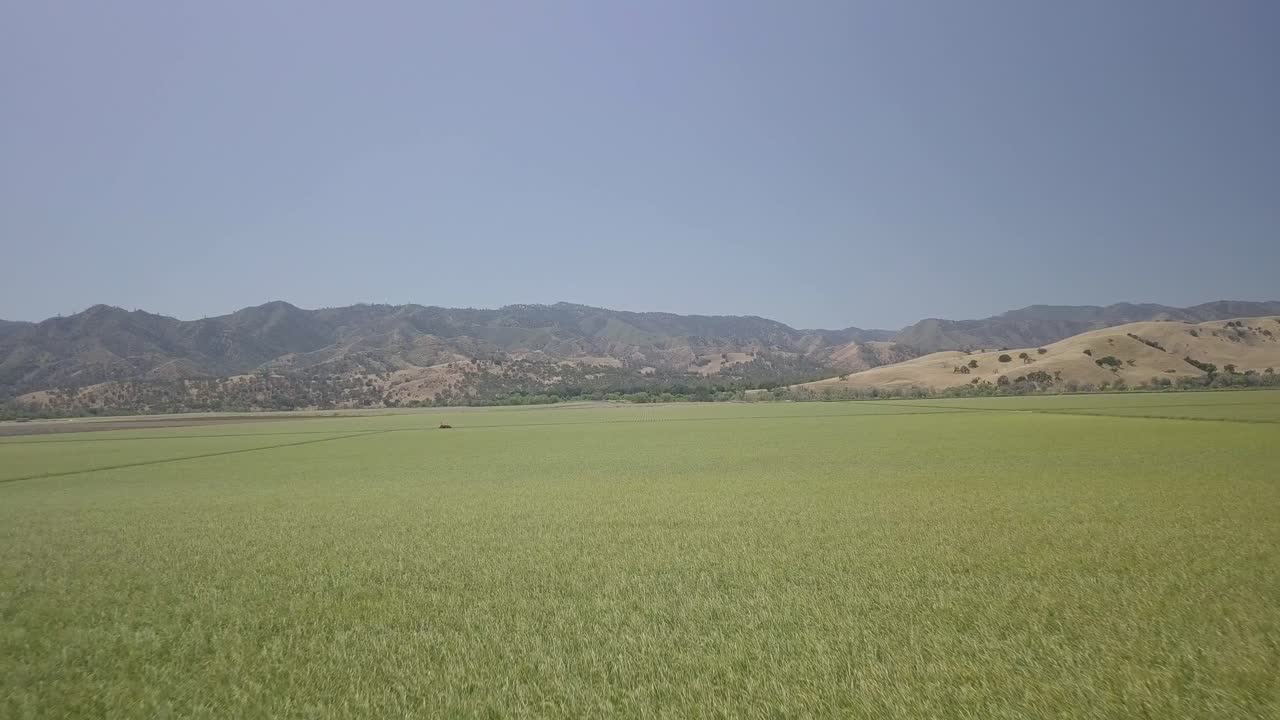Landbrugslandskab, luftoptagelser af vidtstrakte grønne afgrøder og gyldne bakker med blå himmel i baggrunden, i det centrale Californien om sommeren.