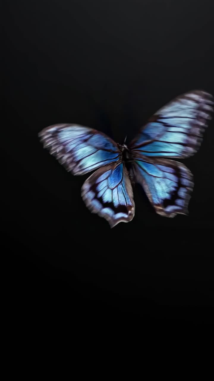Farfalla blu vivace con ali delicate su sfondo scuro