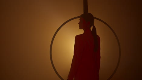 woman in silhouette with aerial hoop