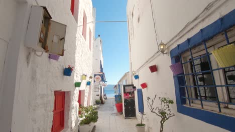 Dolly-Out,-Calle-Angosta-Del-Mar-Egeo,-Casas-Blancas,-Ventanas-Rojas-Y-Azules,-Macetas-De-Flores-Coloridas-En-La-Pared