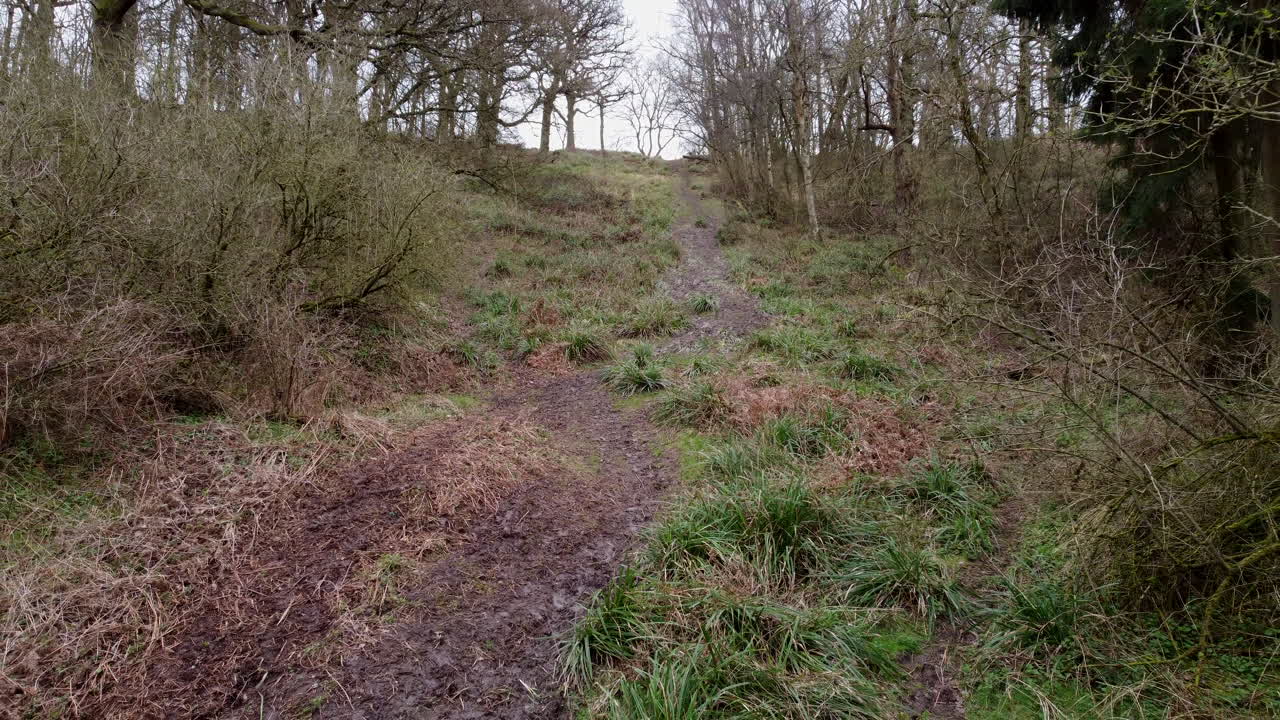 un sendero fangoso que atraviesa un bosque invernal en warwickshire, inglaterra