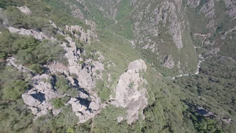 Wahnsinniger-Trippy-Flug-Einer-FPV-Drohne-In-Der-Naturwildnis-Der-Hügelwaldschlucht