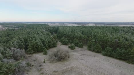 Hermosa-Vista-Aérea-Del-Bosque-De-La-Costa-Del-Mar-Báltico,-Día-De-Invierno-Nublado,-Bosque-De-Pinos,-Turbinas-Eólicas-Distantes,-Erosión-Costera,-Cambios-Climáticos,-Amplia-Toma-De-Drones-Avanzando