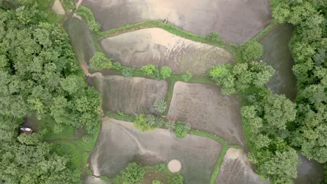 long-clip-top-shot-drone-green-mountans-and-fam-rice-field-in-rain-at-manor-maharashtra-india
