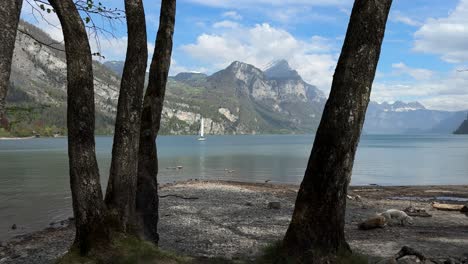 switzerland nature alpine lake walen view of swiss alps valley landscape
