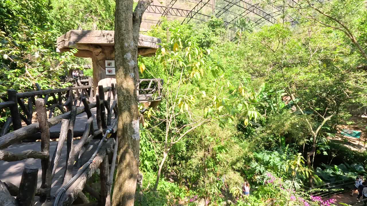 나무로 된 산책로 가 있는 정글 공원