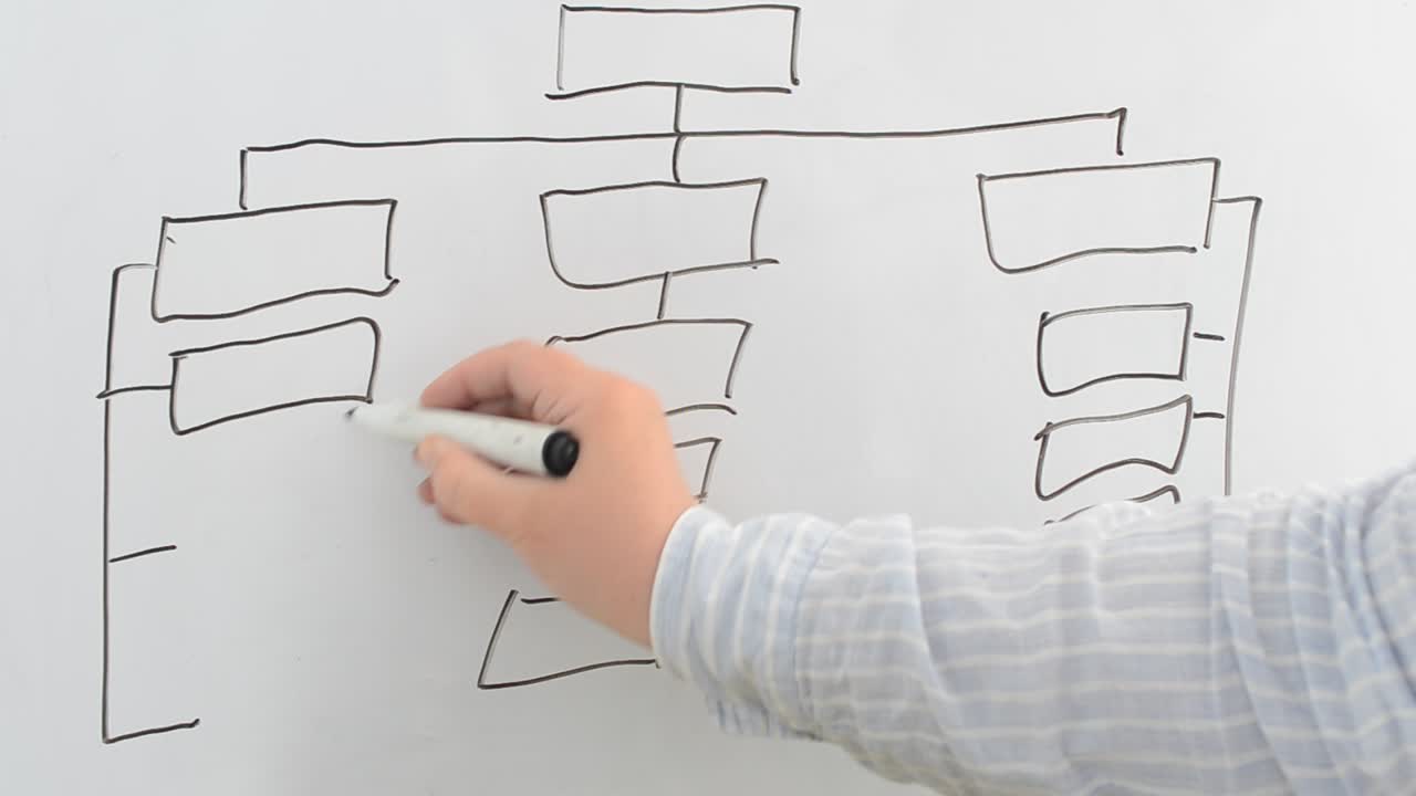 The flowchart on a board. We draw a marker