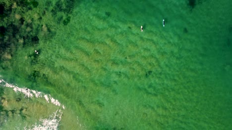 Drone-aerial-pan-footage-of-scenic-Shelly-Beach-Surfers-paddling-on-sand-reef-in-Pacific-Ocean-winter-swell-Central-Coast-NSW-Australia-3840x2160-4K