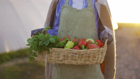 cerca de una cesta llena de verduras y plantas llevada por una mujer irreconocible