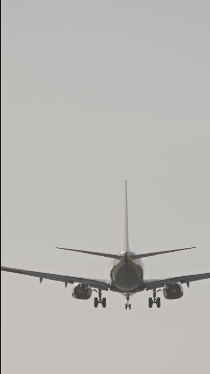 Avión volando en dirección al aeropuerto para aterrizar a cámara superlenta al atardecer en vertical