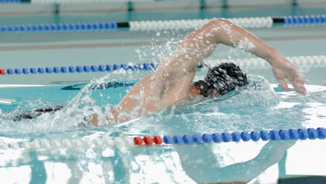 swimming in pool, male athlete performing freestyle stroke during training session