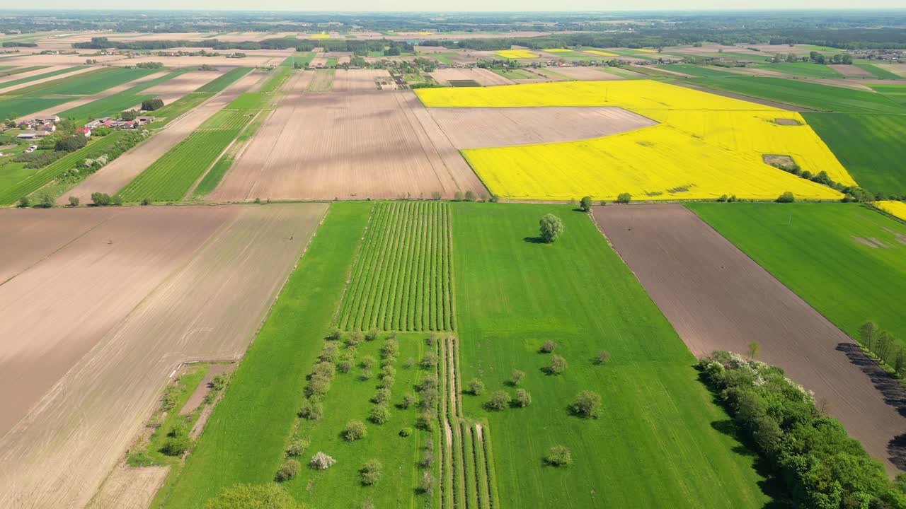 Agricultural field aerial shot
