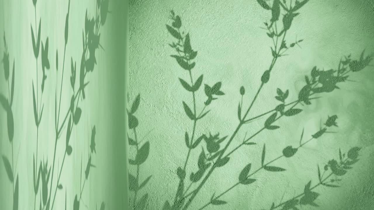 esquina de pared con fondo verde y sombra de planta árbol naturaleza moviéndose por la brisa suave renderización de animación exhibición de productos de comercio electrónico tienda en línea venta descuento