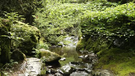 Hermoso-Arroyo-En-Las-Cascadas-De-Edelfrauengrab-En-El-Bosque-Negro,-Alemania