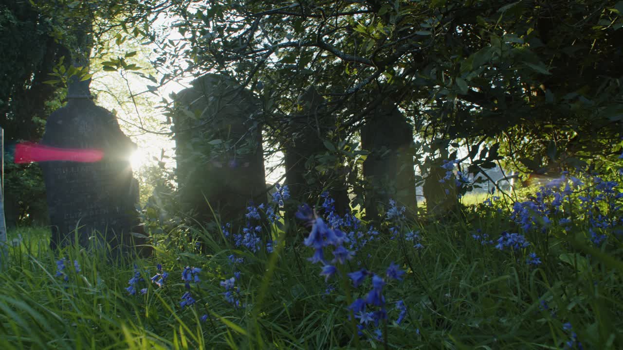 Slowmotion Sunflares graves and violets at sunrise