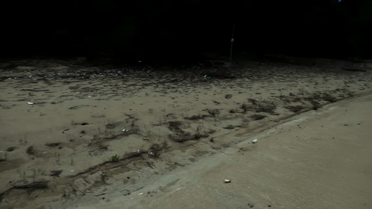 태국 해변에서 조개를 보고