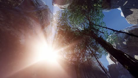 Sonnenlicht-In-Der-Geheimnisvollen-Höhle