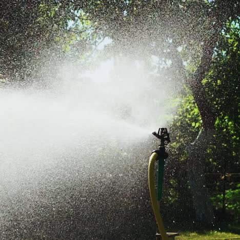 irrigation equipment. automatic agricultural sprinkler watering system for plants and lawn. slow motion.