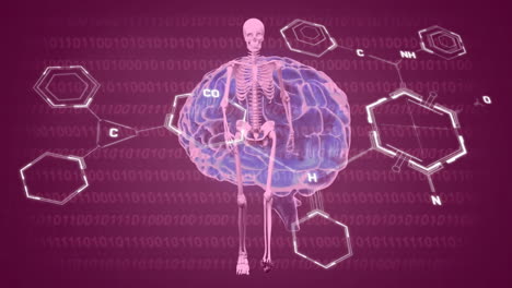 Animación-Del-Cerebro-Humano-Y-Procesamiento-De-Datos-Científicos.