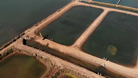 Salt-beds-in-Portugal,-salt-production-in-progress