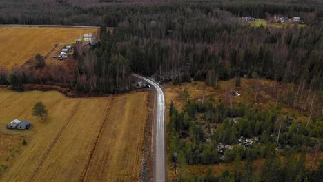 aerial view of road going in to the forrest