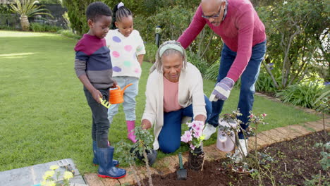 Felices-Abuelos-Afroamericanos,-Nieto-Y-Nieta-Plantando-Flores,-Cámara-Lenta