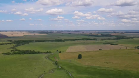 toma de drones del campo argentino en la provincia de buenos aires en argentina