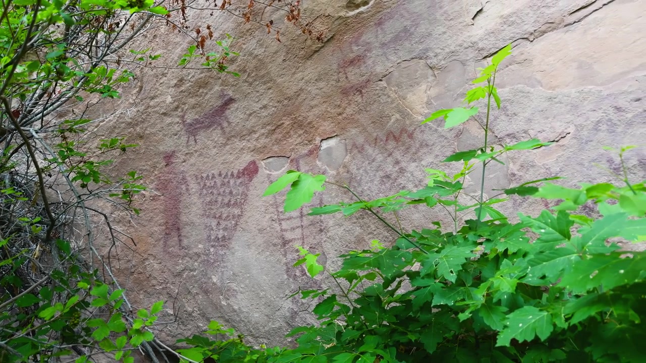Pictogramas antigos em parede de arenito parcialmente escondidos por vegetação verde em abrigo rochoso, panorâmica de desenhos semelhantes a redes de ondas ou montanhas.
