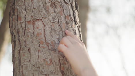 Persona-De-Cultivo-Tocando-El-Tronco-De-Un-árbol