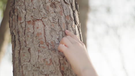 persona del cultivo tocando el tronco del árbol