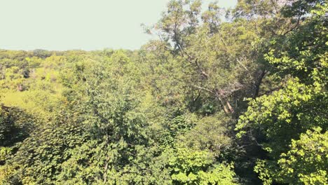 A-secret-river-or-creek-hidden-in-marshes-in-Muskegon