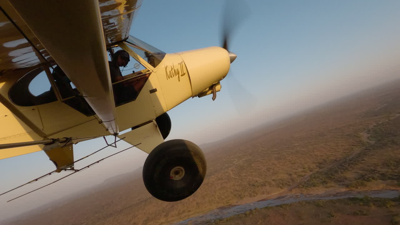 Aereo su veduta aerea di vegetazione e paesaggio.