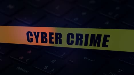 cyber crime