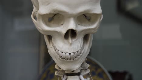 a headshot of a human skeleton dummy outside of a medical seen in hong kong