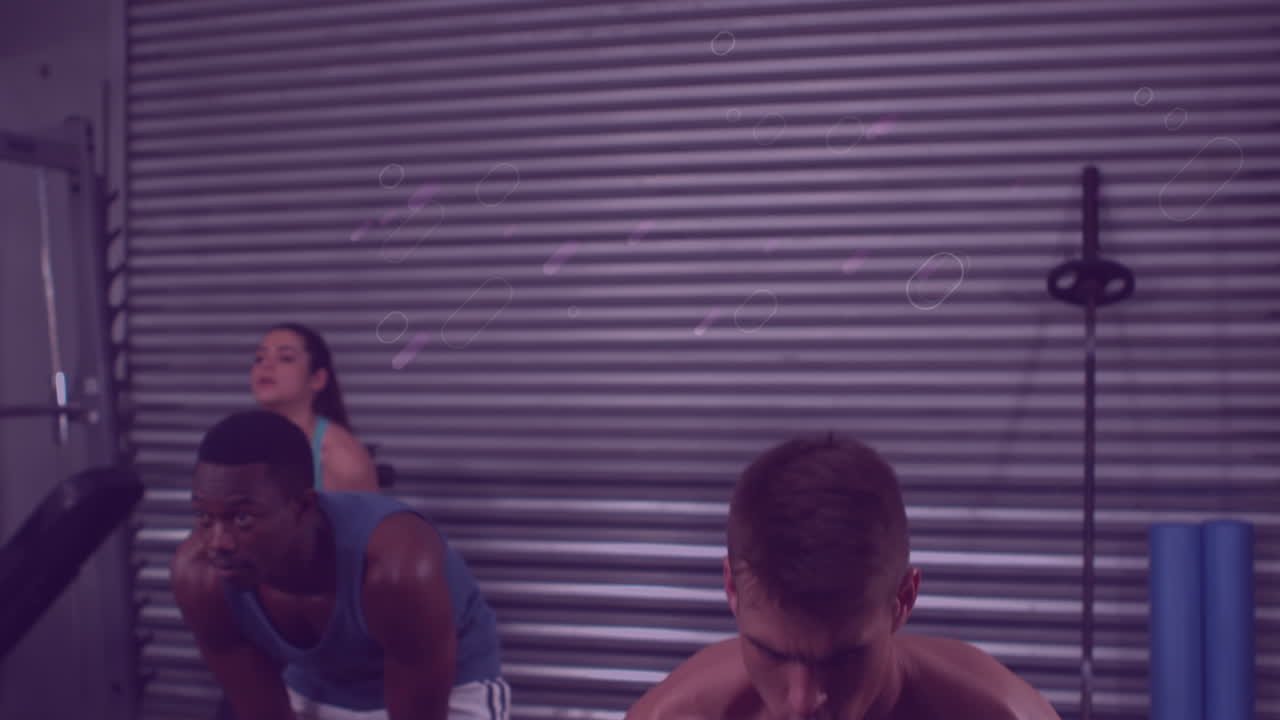 체육관에서 무게로 훈련하는 다양한 남성들에게 적합한 보라색 모양의 애니메이션