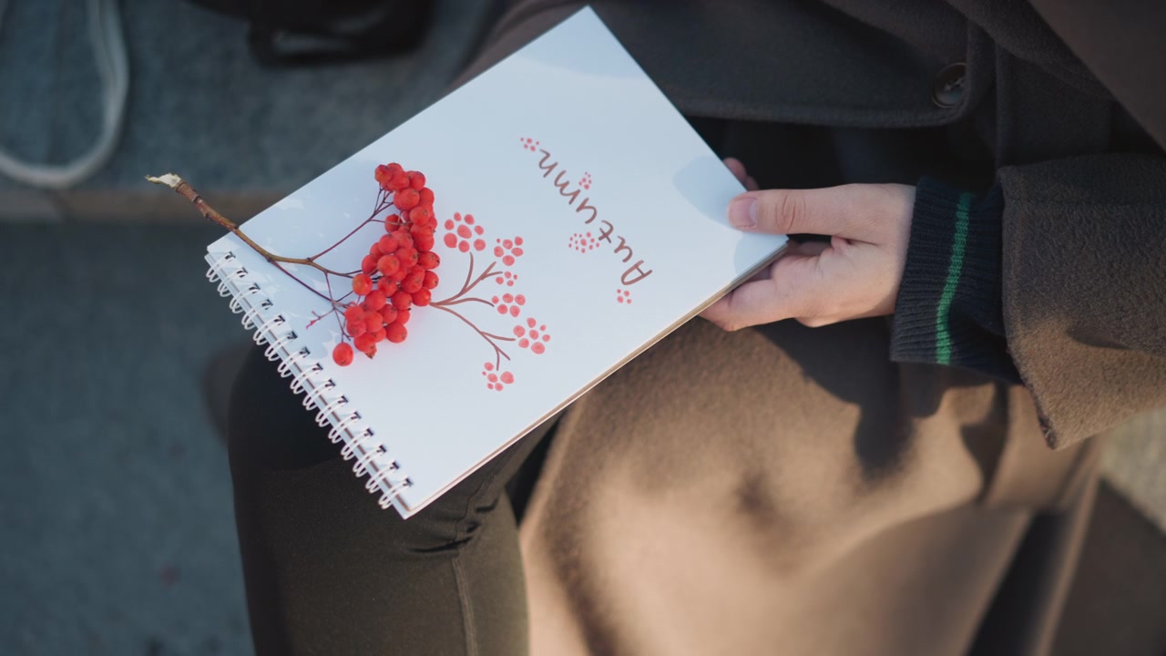 Person Holding Notebook with Autumn Decoration and Rowan Berries