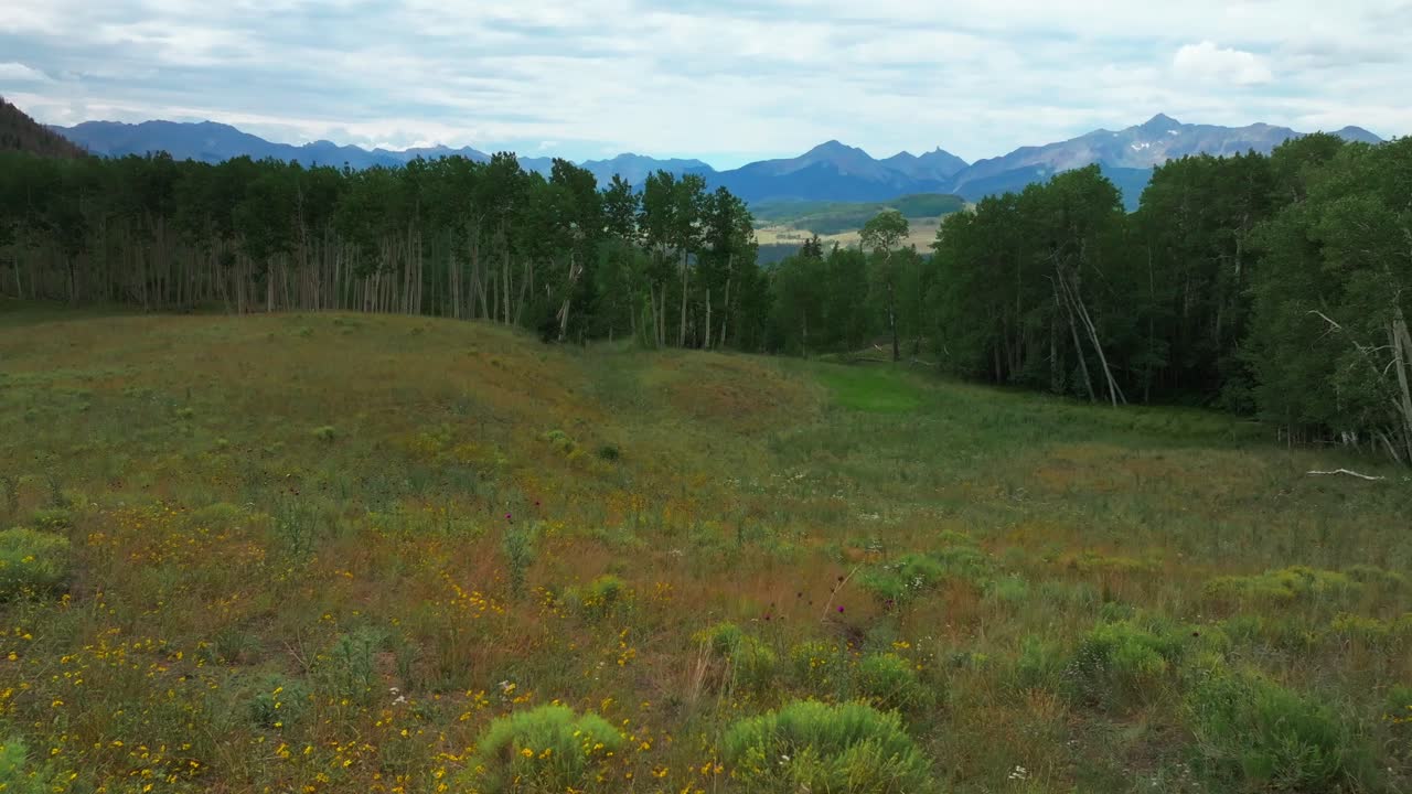Summer yellow wildflowers Last Dollar Road Ridgway Telluride airport Colorado aerial drone Uncompahgre Forest Mount Sneffels Wilderness Aspen Trees ranchland San Juan Rocky Mountains left motion