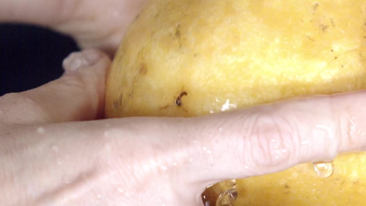 Primo piano, processo di pulizia dei frutti freschi di mango appena raccolti