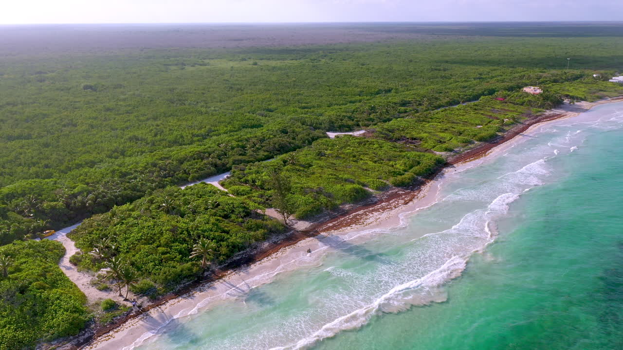 amplia toma de drone giratorio cinematográfico de la costa natural cerca de mahahual mexico hacia el sol