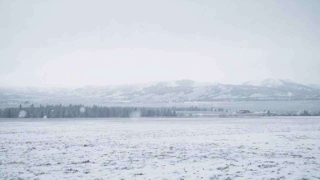 Start of recording camera capturing snow-covered field at farm, documenting tree line and mountains