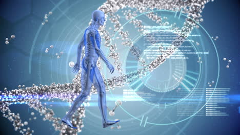 animation of scope scanning, human body, dna strand and data processing